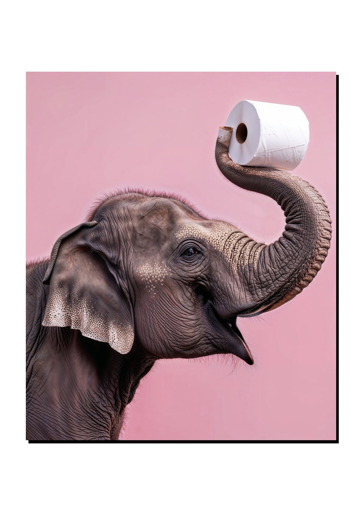 Funny Elephant Toilet Roll Wall Art art print
