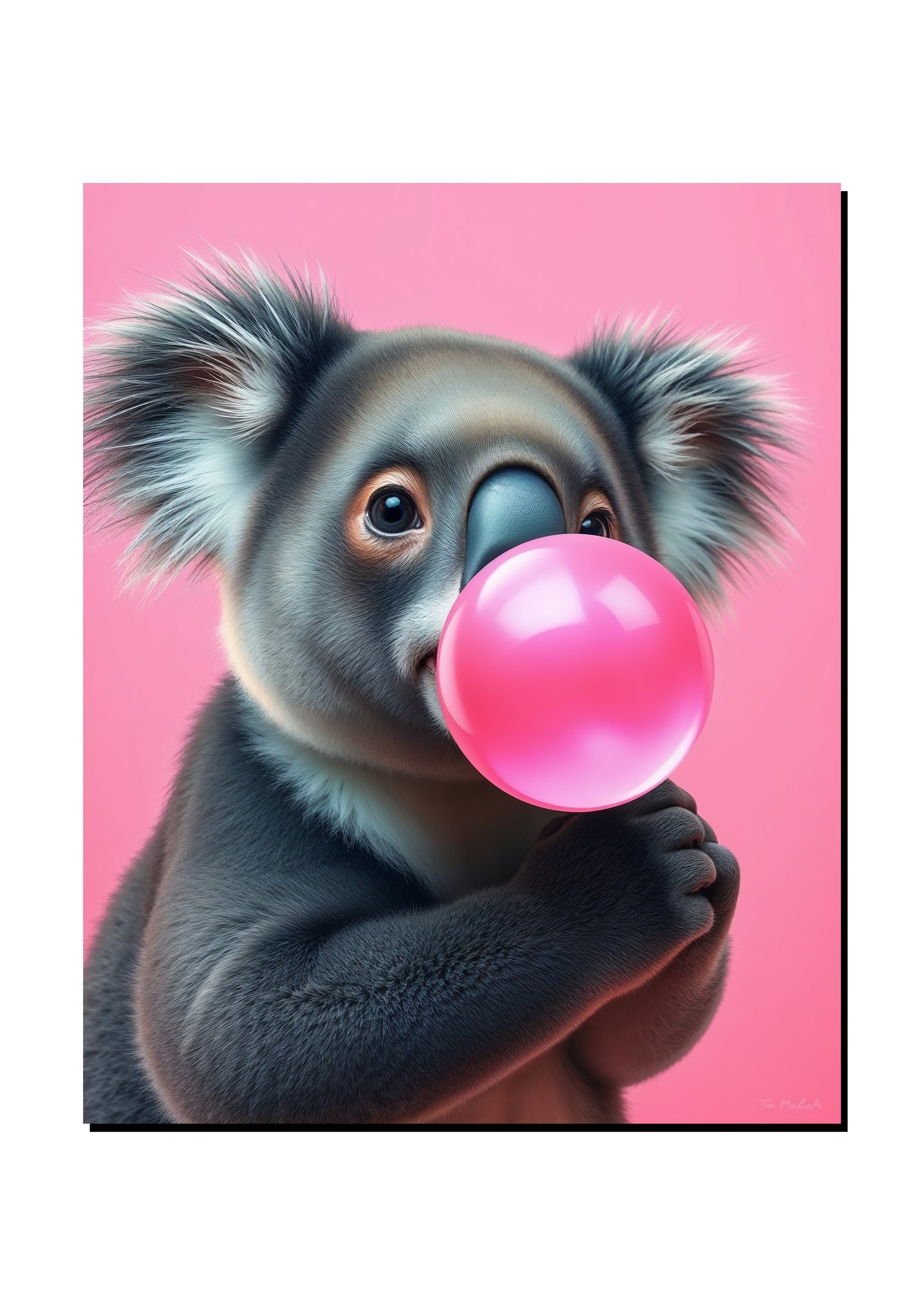 Cute Koala Wall Art art print