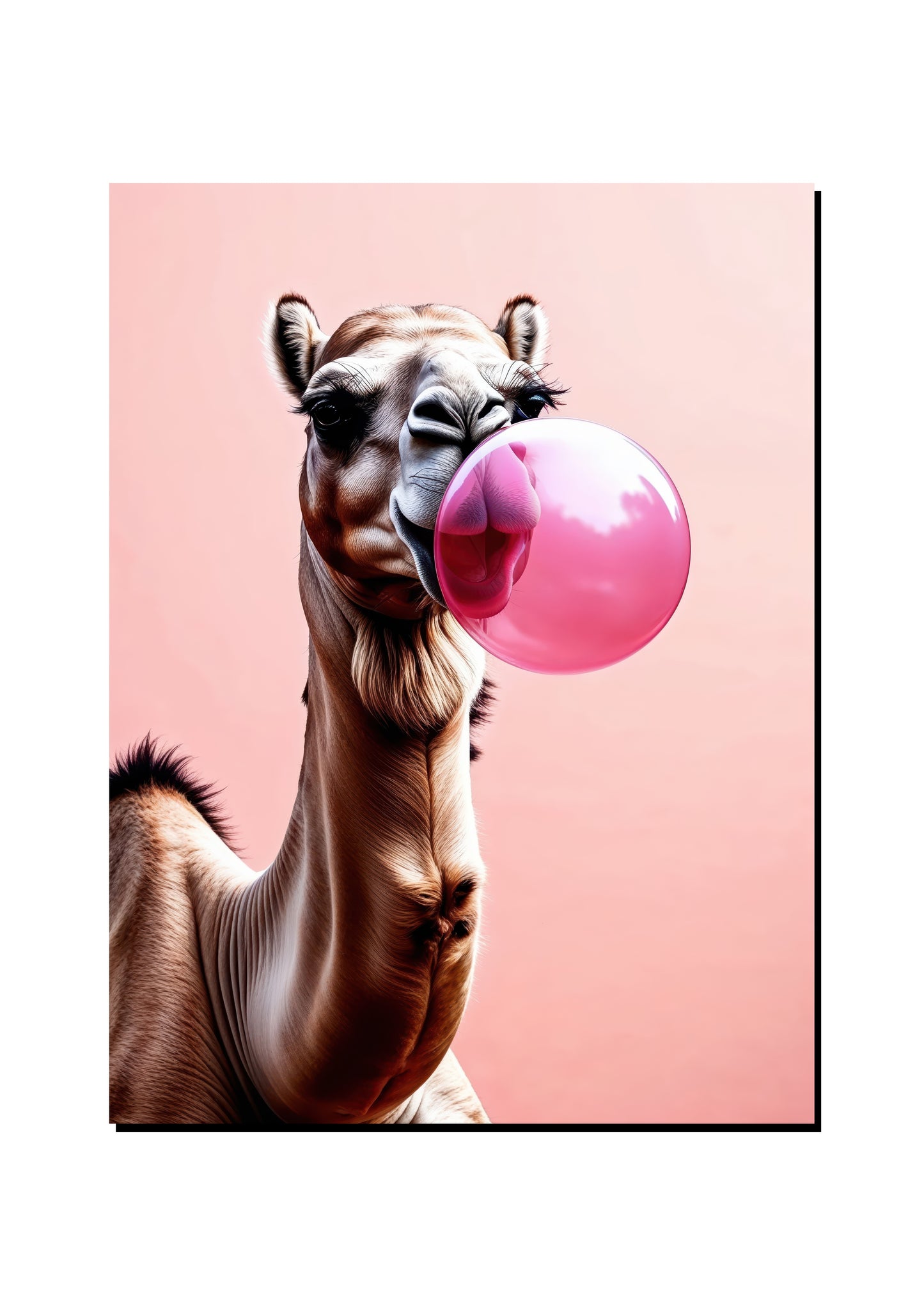 Aardvark Reading a Romance Novel art print