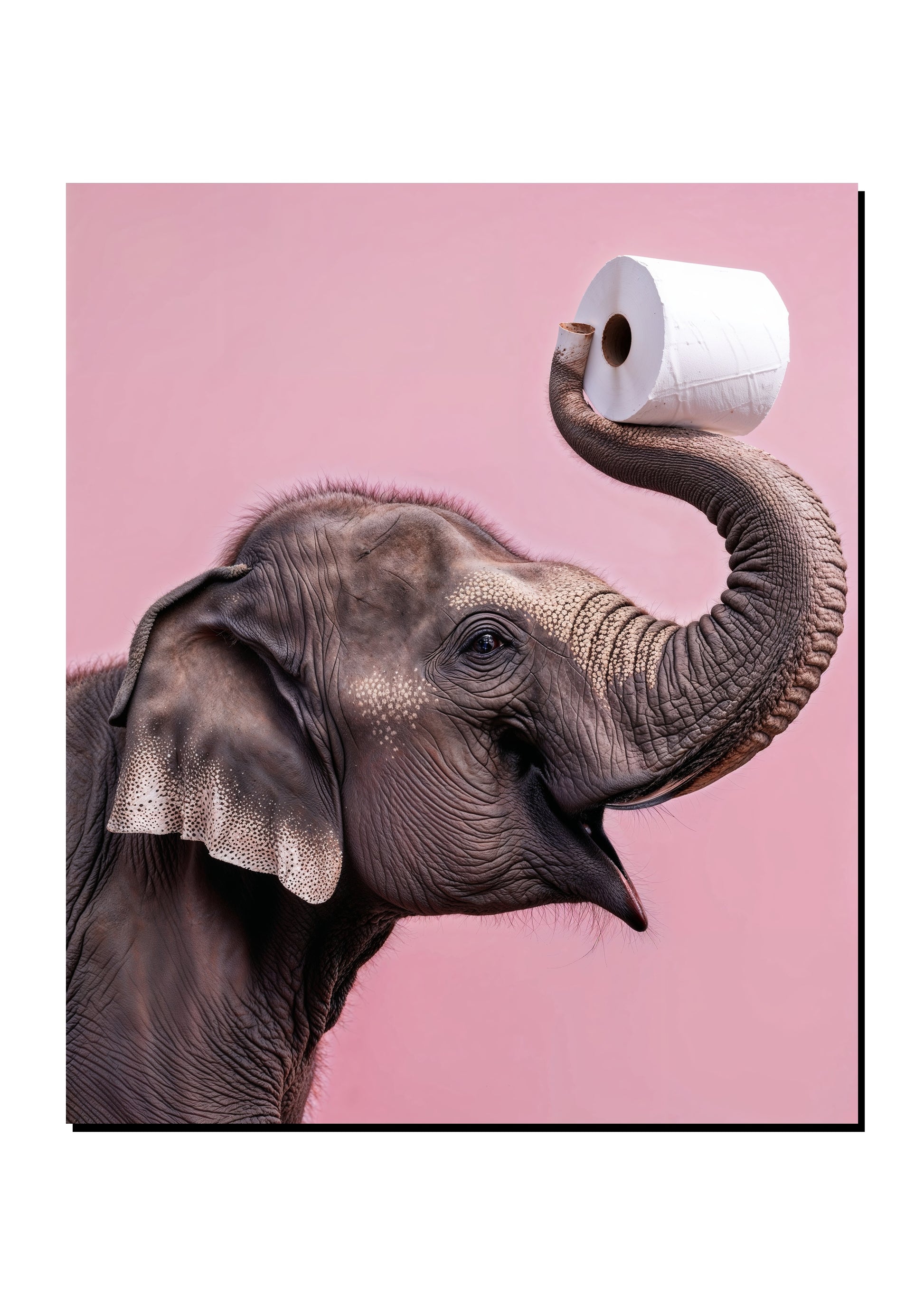 Funny Elephant Toilet Roll Wall Art art print