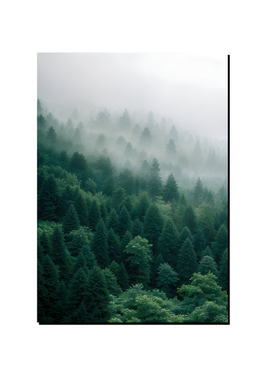 Looking Into the Green Forest art print