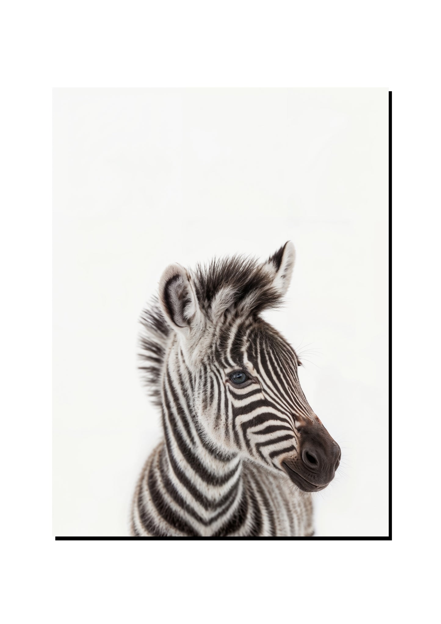 Grant's Gazelle Wearing a Bow Tie art print