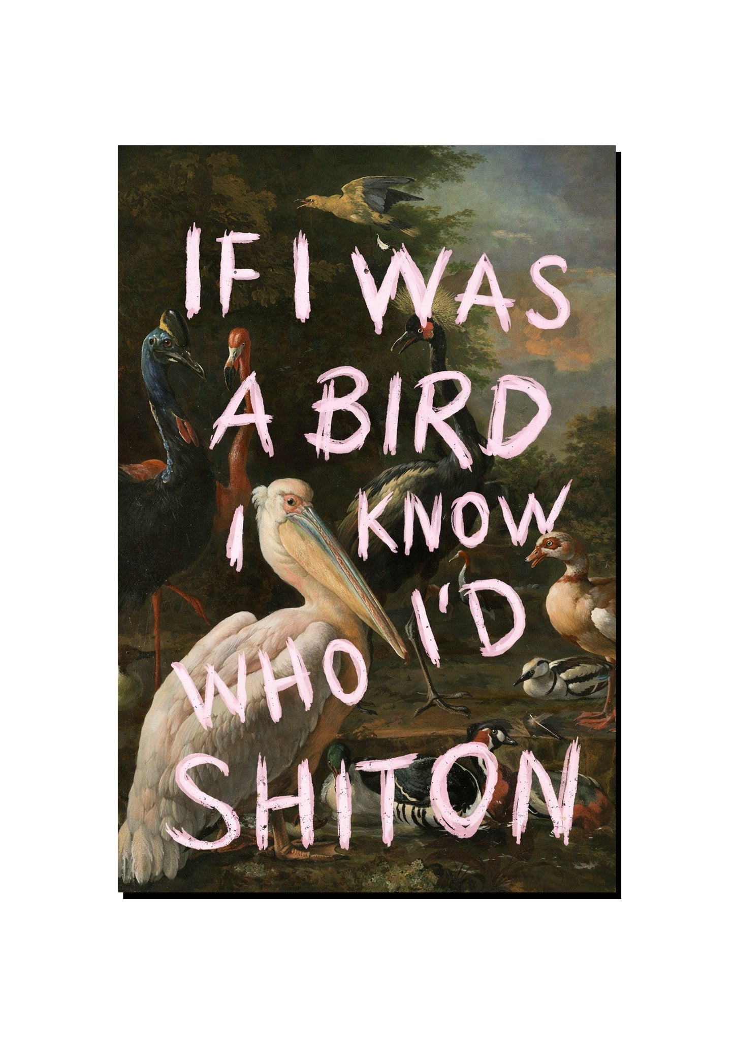 Today I Got Shat On art print